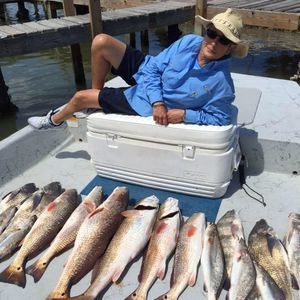 Meet your Posher, Judy